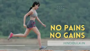 no-pains-no-gains-meaning-in-hindi